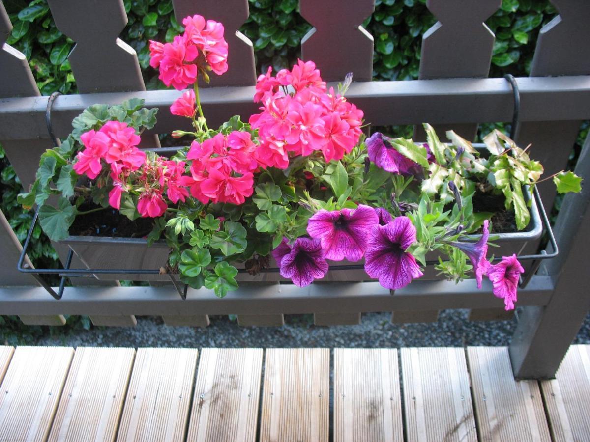 Durbuy Kleine Familiechalet Edelweiss 4 A 5 Pers المظهر الخارجي الصورة